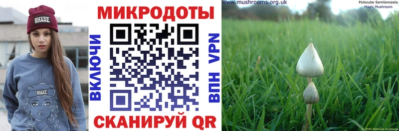 Псилоцибиновые грибы прущие грибы  KRAKEN как зайти  Саров 